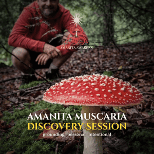 Amanita Discovery Session