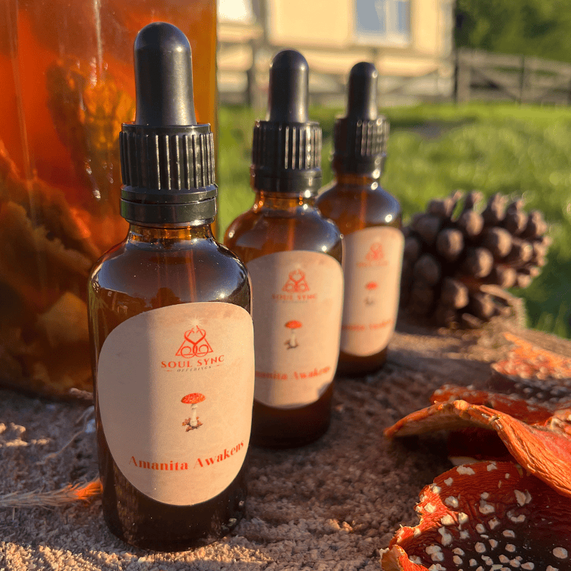 Fly Agaric Tincture for Sale