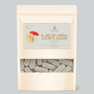 Amanita and Lion's Mane Capsules by Amanita Awakens