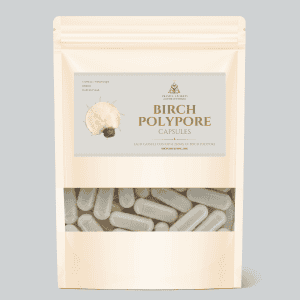 Birch Polypore Capsule Supplements by Amanita Awakens