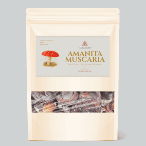 Amanita Muscaria Dried Caps - Carpathian Mountains - 30 grams